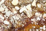 Polished Wild Horse Magnesite Slab - Arizona #264004-1